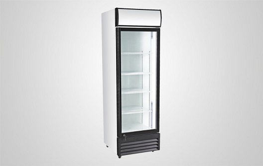 Procool Beverage Refrigerator CS-400
