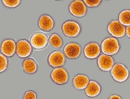 Is It Safe to Drink Overnight Beverage