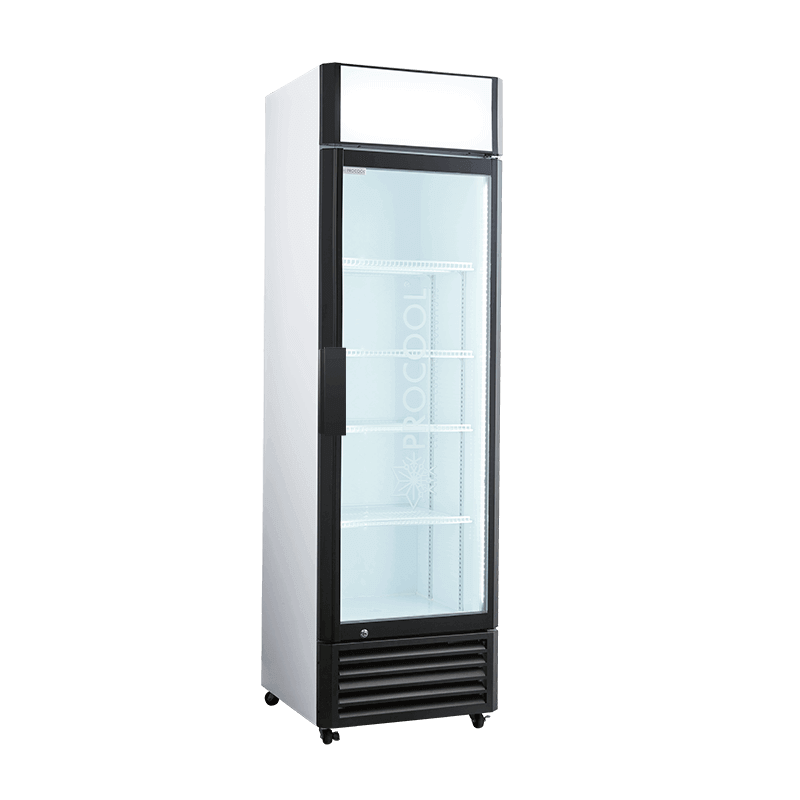 Meilleur refroidisseur de boissons_Réfrigérateur à boissons à une porte en verre