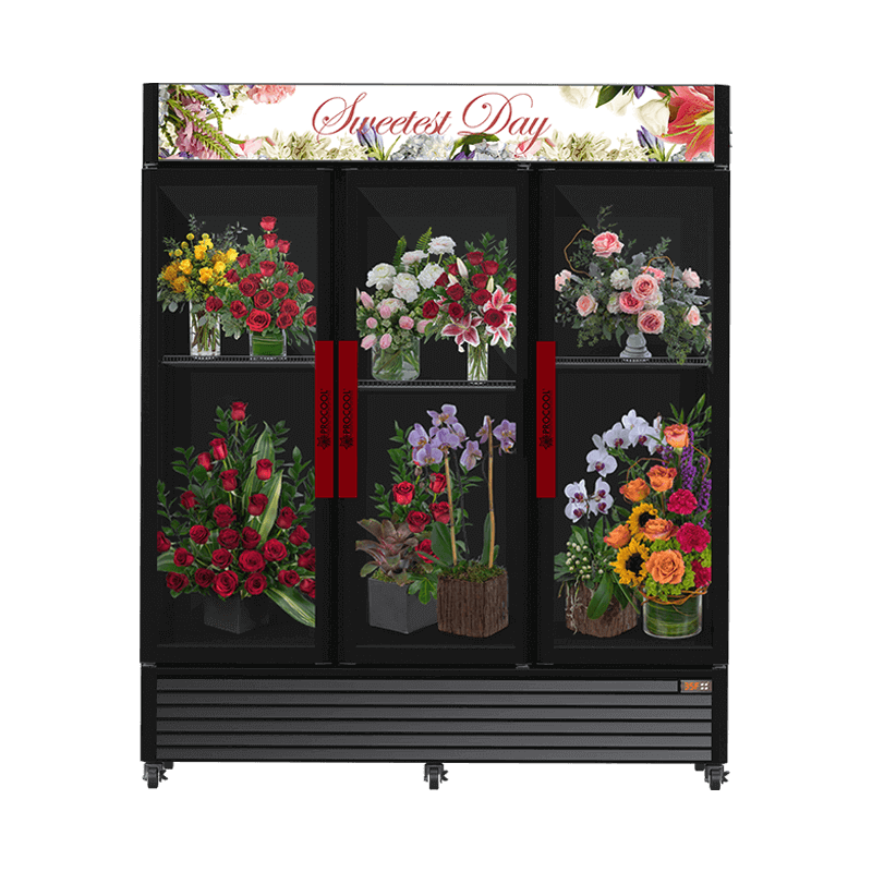 PROCOOL Floral Cooler_3 Door Flower Cooler