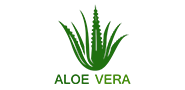 Types of Beverages_Aloe Vera Drinks