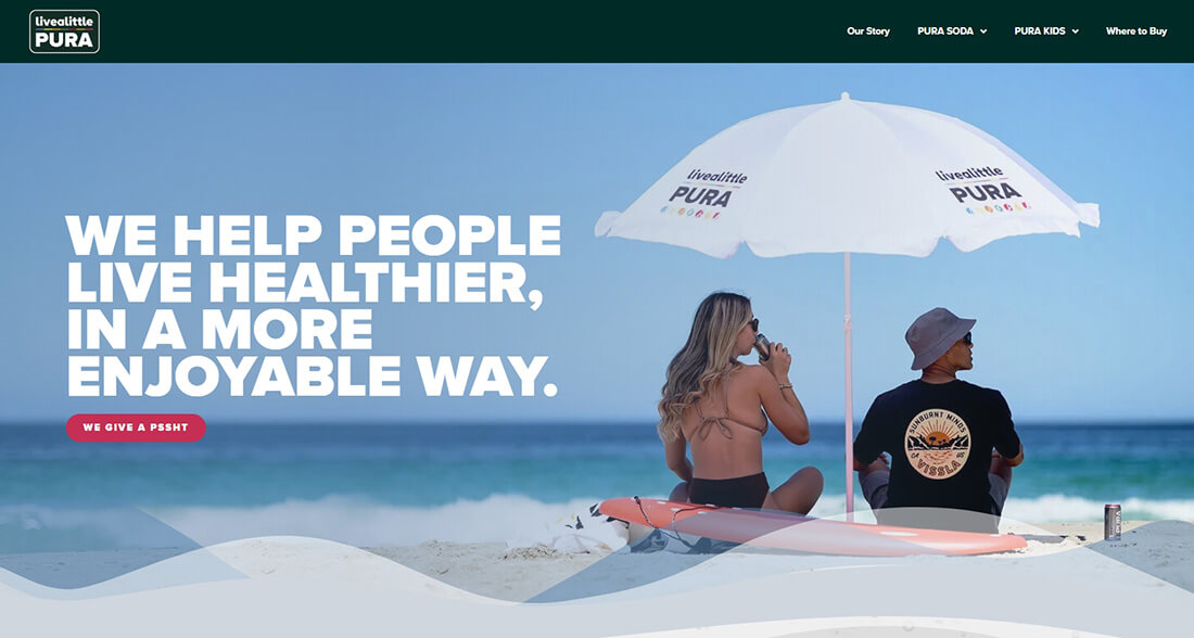 Top Beverage Manufacturing Companies in South Africa_PURA Beverage Co