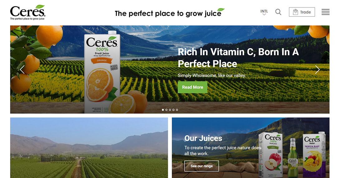 Top Orange Juice Brands_Ceres Fruit Juices