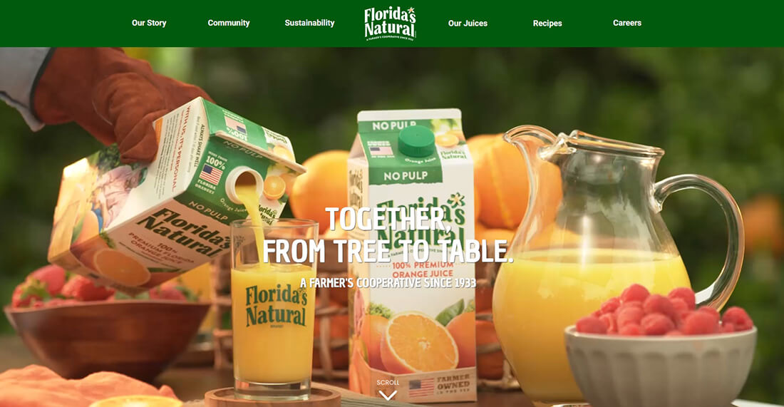 Top Orange Juice Brands_Florida’s Natural