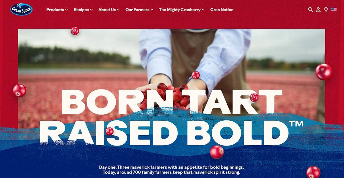 Top Orange Juice Brands_Ocean Spray