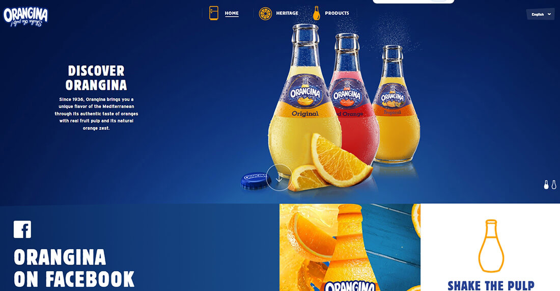Top Orange Juice Brands_Orangina