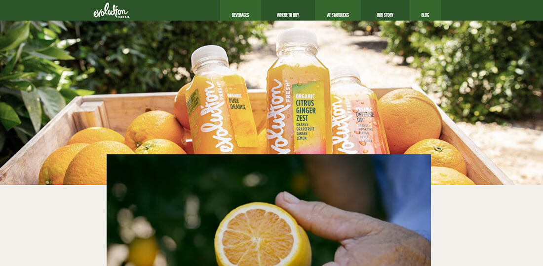 Top Smoothies Brands_Evolution Fresh