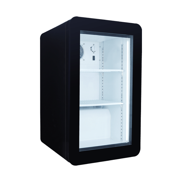 Retro Mini Fridge with Glass Door